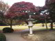 Shinjuku-gyoen: Kouyou by day