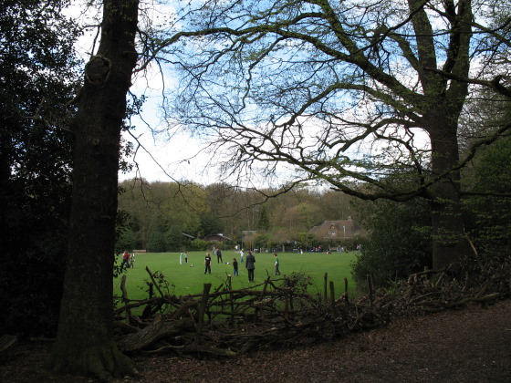 A picture