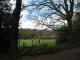 Highgate, Highgate Woods